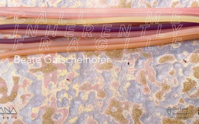 Wystawa “Call Me Inherently Fragile” Beate Gatschelhofer